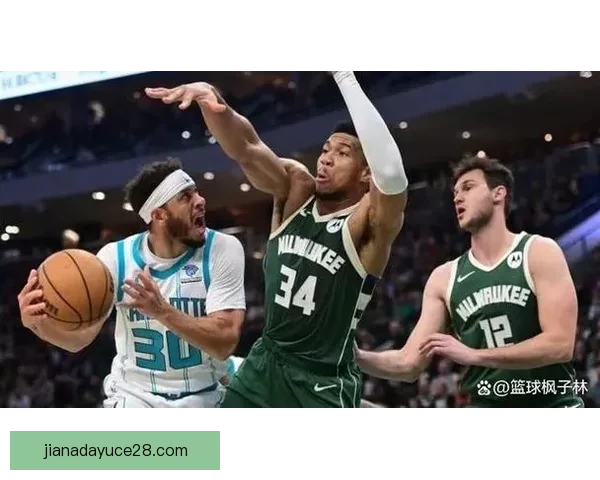 夏洛特黄蜂逆袭雄鹿迎来胜利 以111比100力克密尔沃基